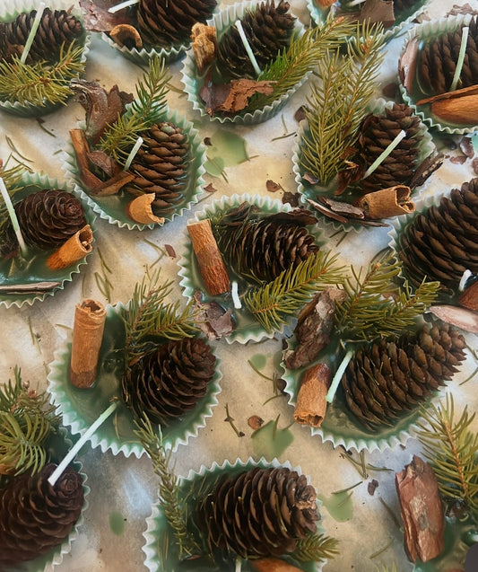 🔥 Pine Scented Natural Fire Starters (6-Pack)
