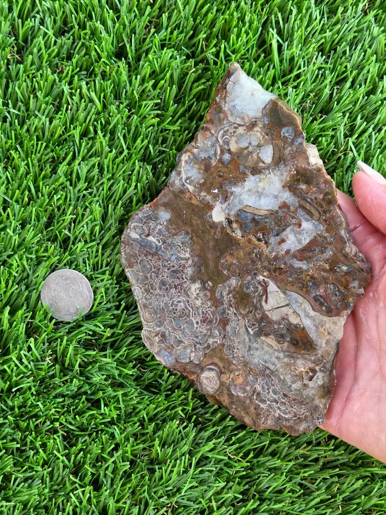 Green Mushroom Rhyolite M601-604