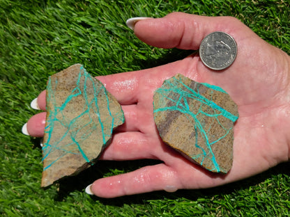 Spiderweb Malachite Slab Bundle SB120