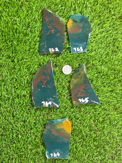 Indonesian Bloodstone Jasper Slabs O762-766