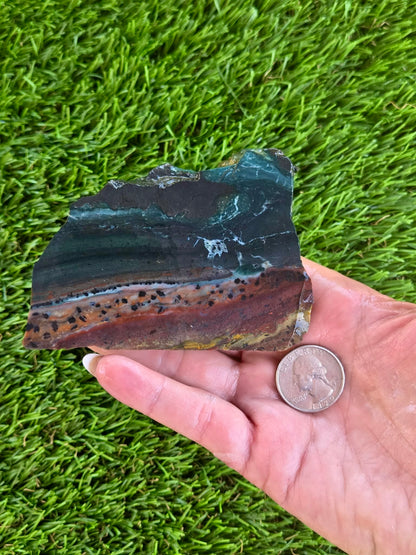 Indonesian Magnetic Banded Jasper Slabs Q808–812
