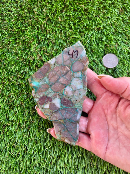 Desert Mosaic Puddingstone with Malachite Slabs A46-49