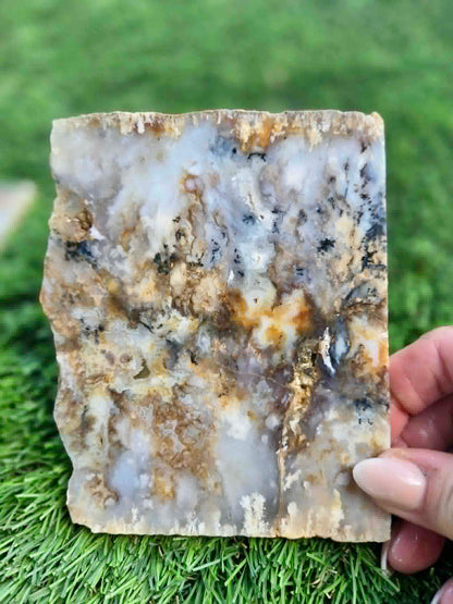 Graveyard Point Plume Agate Slabs G317-322
