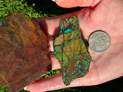 Globe Chrysocolla Slab Bundle-SB36