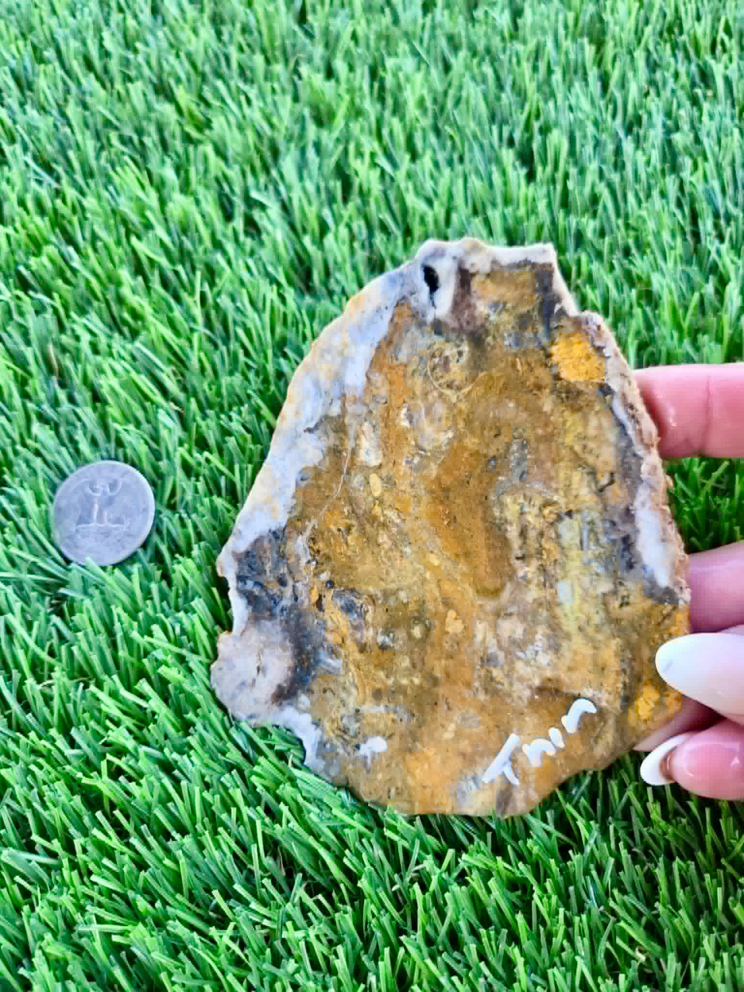 Iron-rich jasper/chalcedony with quartz Slabs F297-301