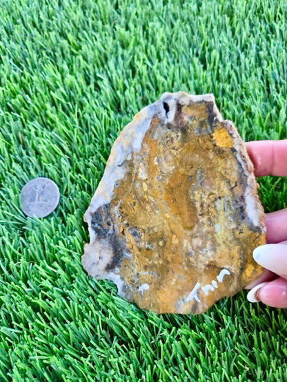 Iron-rich jasper/chalcedony with quartz Slabs F297-301