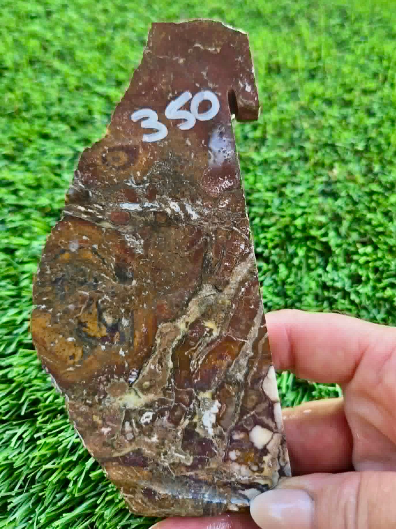 Globe Arizona Brecciated Jasper G349-353