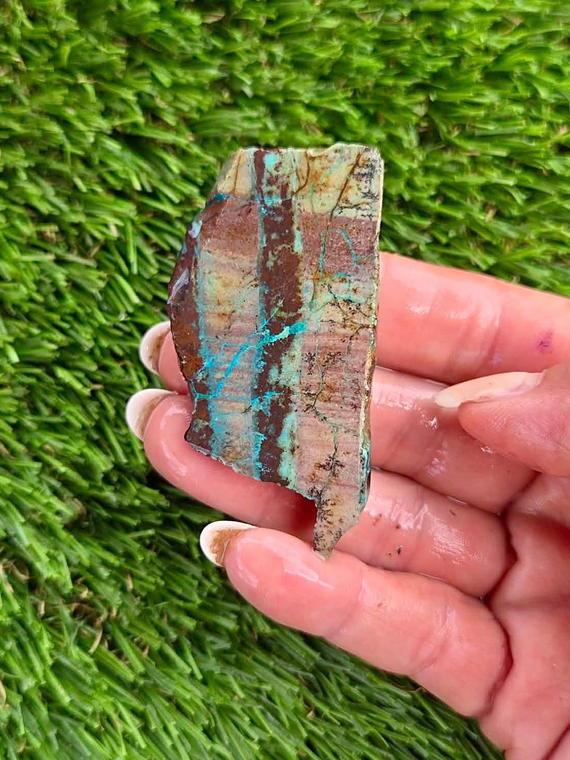Globe Chrysocolla Slab Bundle -53