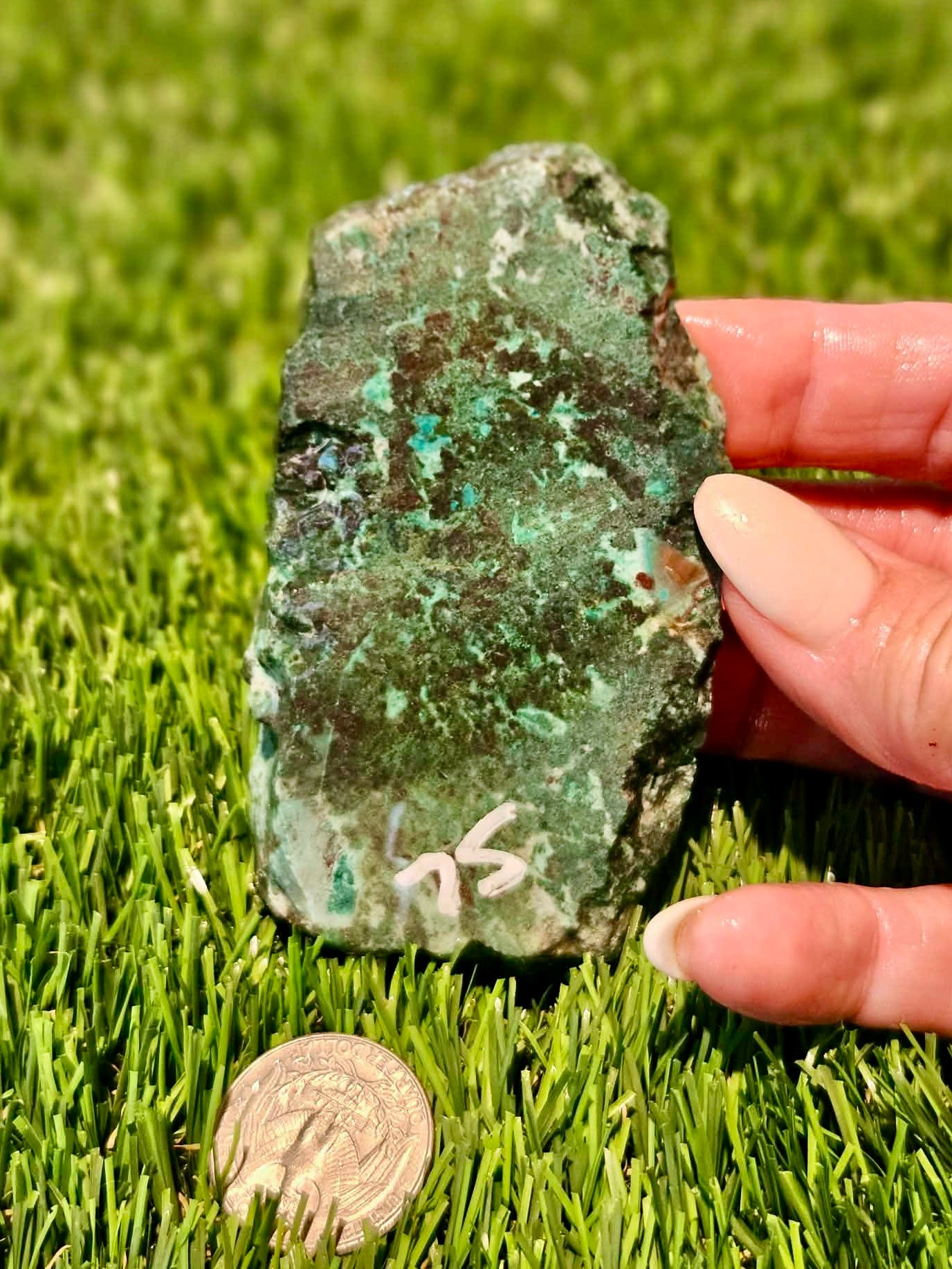 Globe Chrysocolla Slabs 73-78
