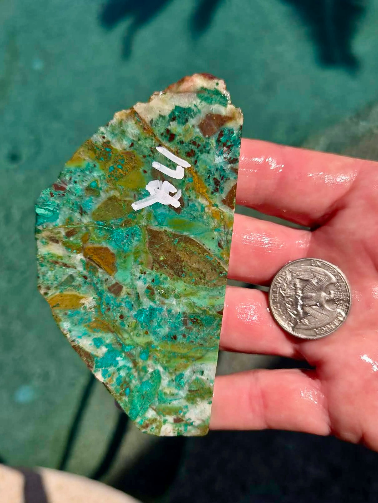 Planet Mine Chrysocolla 
Slab 171-175