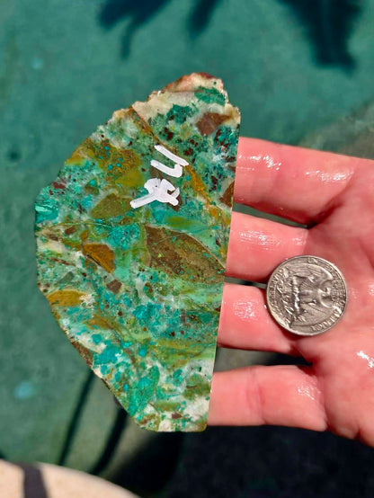 Planet Mine Chrysocolla 
Slab 171-175
