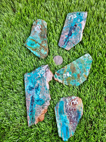 Planet Mine Chrysocolla 
Slab 171-175