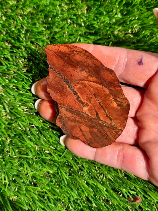 Arizona Flame Jasper Slab Bundle-30