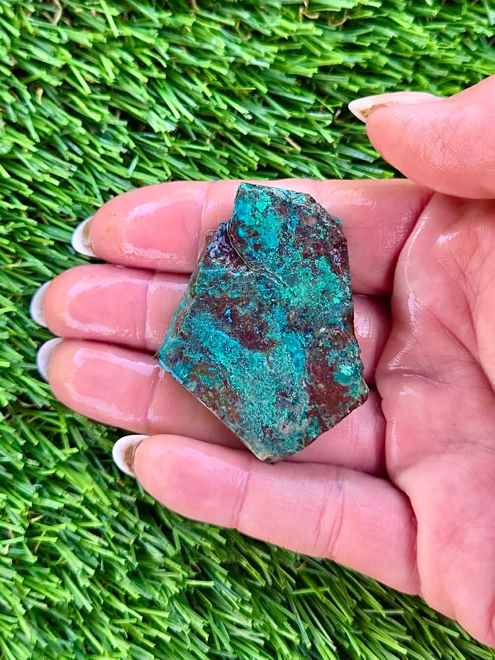 Globe Chrysocolla Slab Bundle -81
