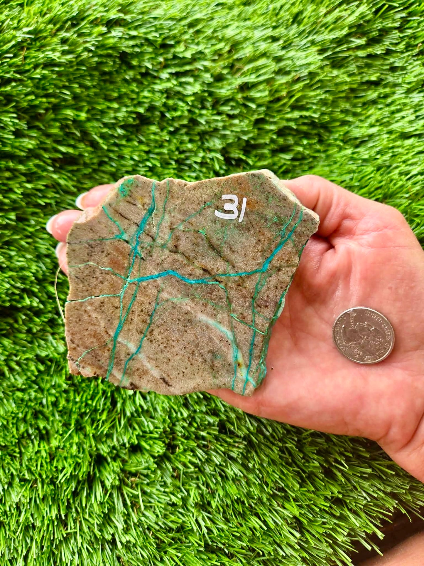 Globe Chrysocolla Slabs 27-31