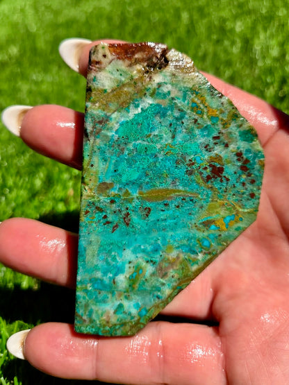 Globe Chrysocolla Slab Bundle -80