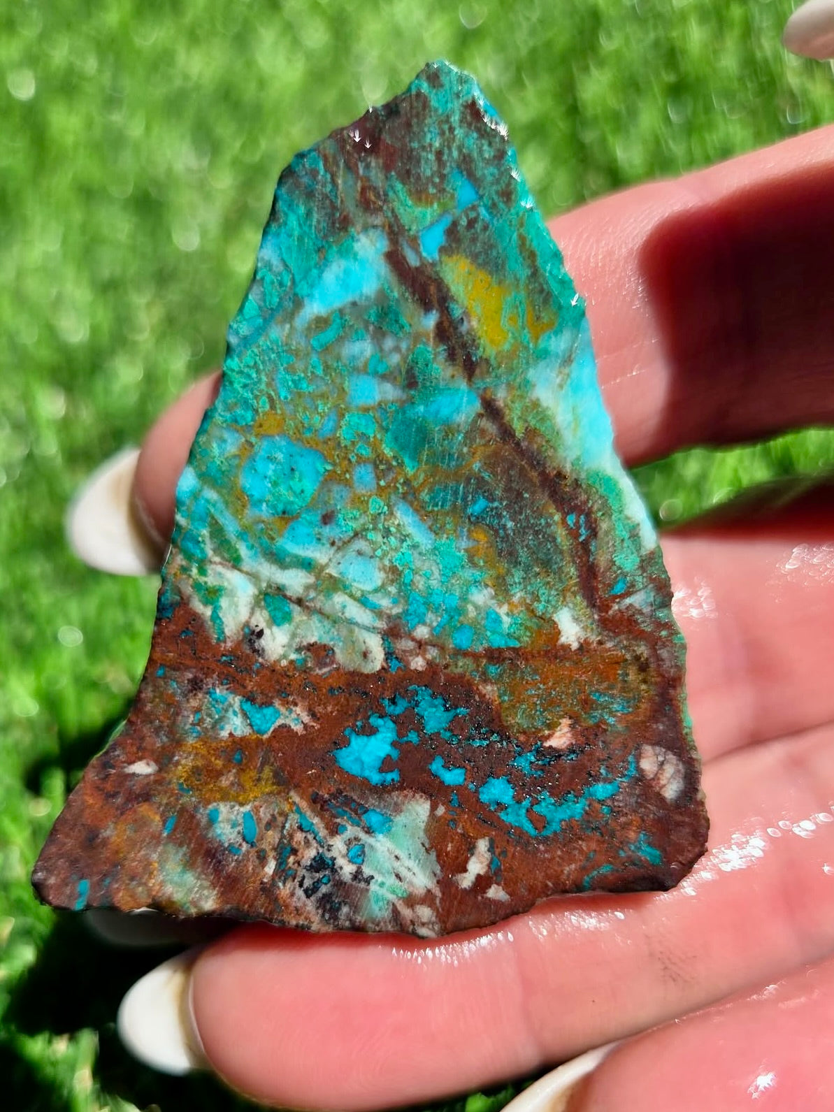 Globe Chrysocolla Slab Bundle -77