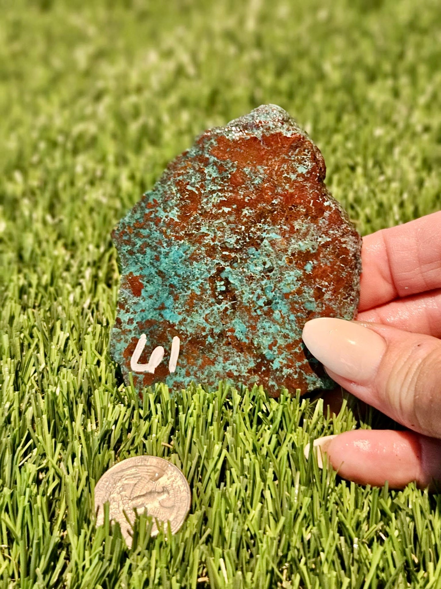 Globe Chrysocolla Slabs 61-66