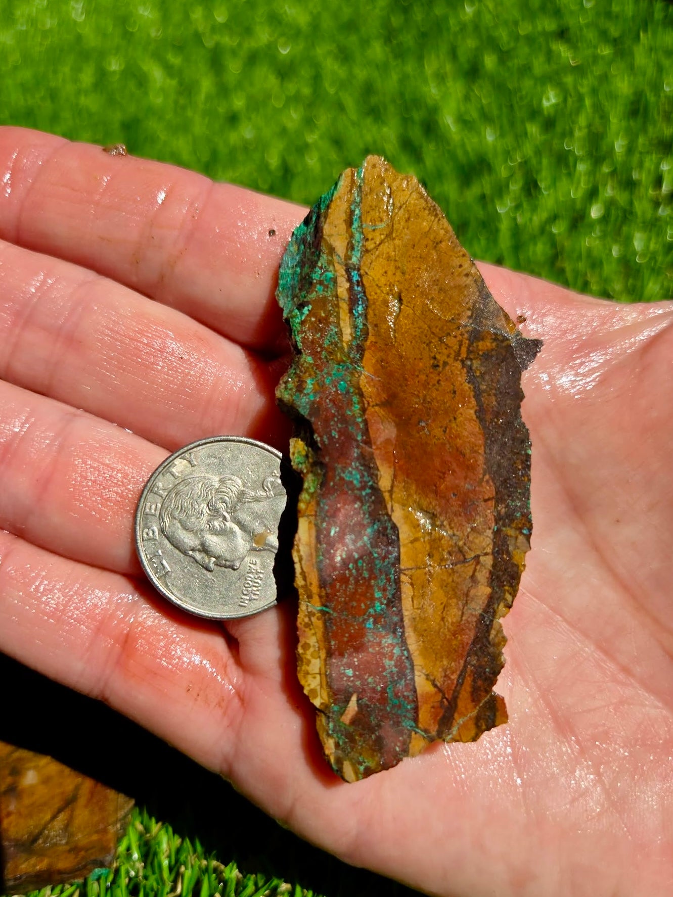 Globe Chrysocolla Slab Bundle -82