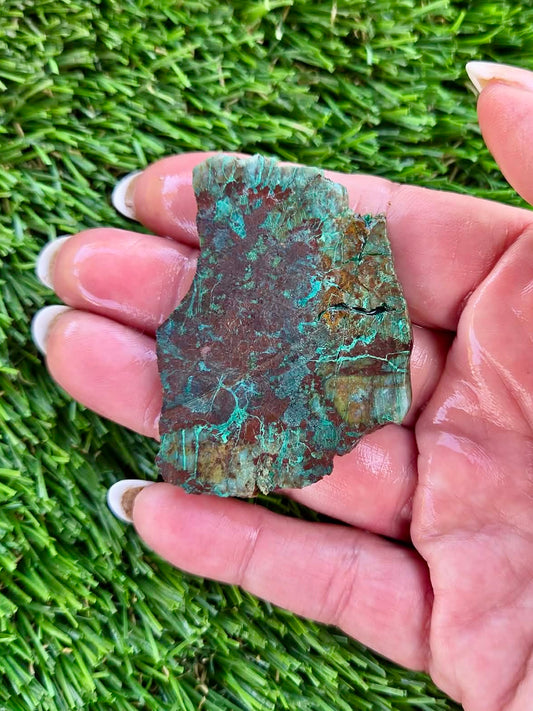 Globe Chrysocolla Slab Bundle -57