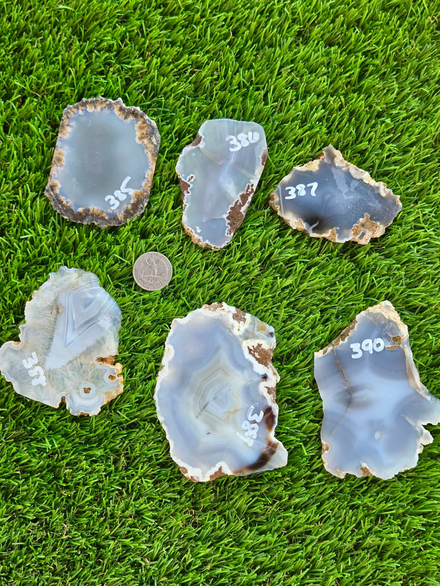 Blue Luna Agate Slabs H385-390