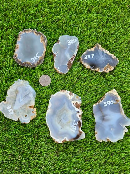 Blue Luna Agate Slabs H385-390