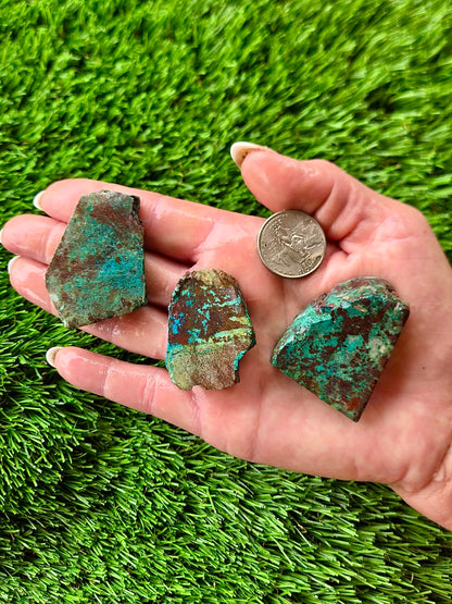 Globe Chrysocolla Slab Bundle -81