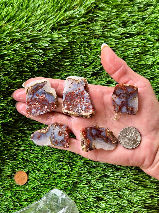 Bloody Basin Agate Slab Bundle-25