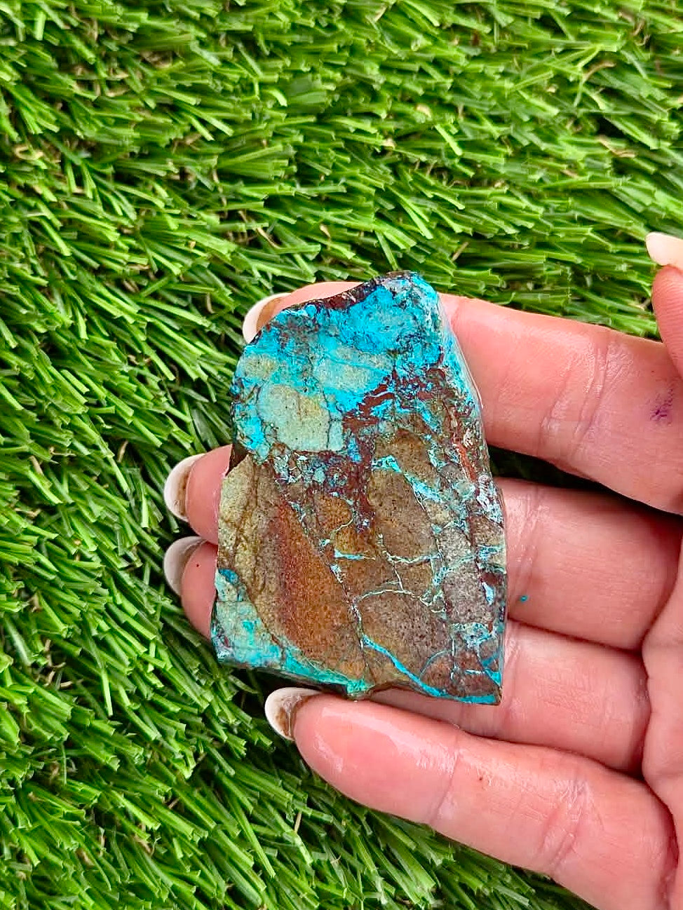 Globe Chrysocolla Slab Bundle -53