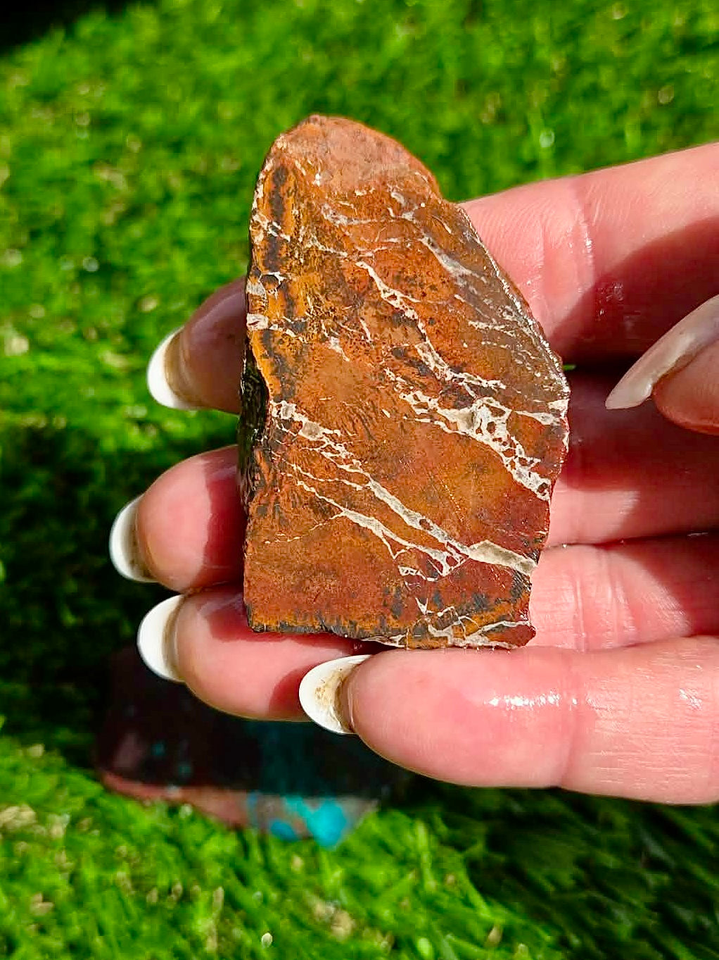 Globe Chrysocolla Slab Bundle -22