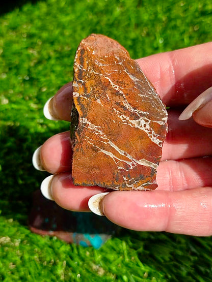 Globe Chrysocolla Slab Bundle -22