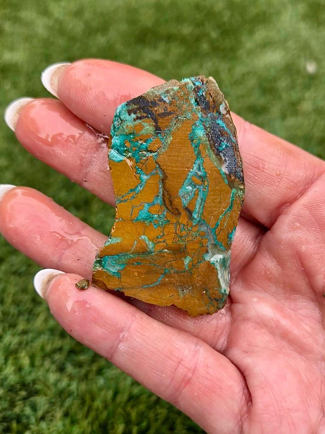 Globe Chrysocolla Slab Bundle -3