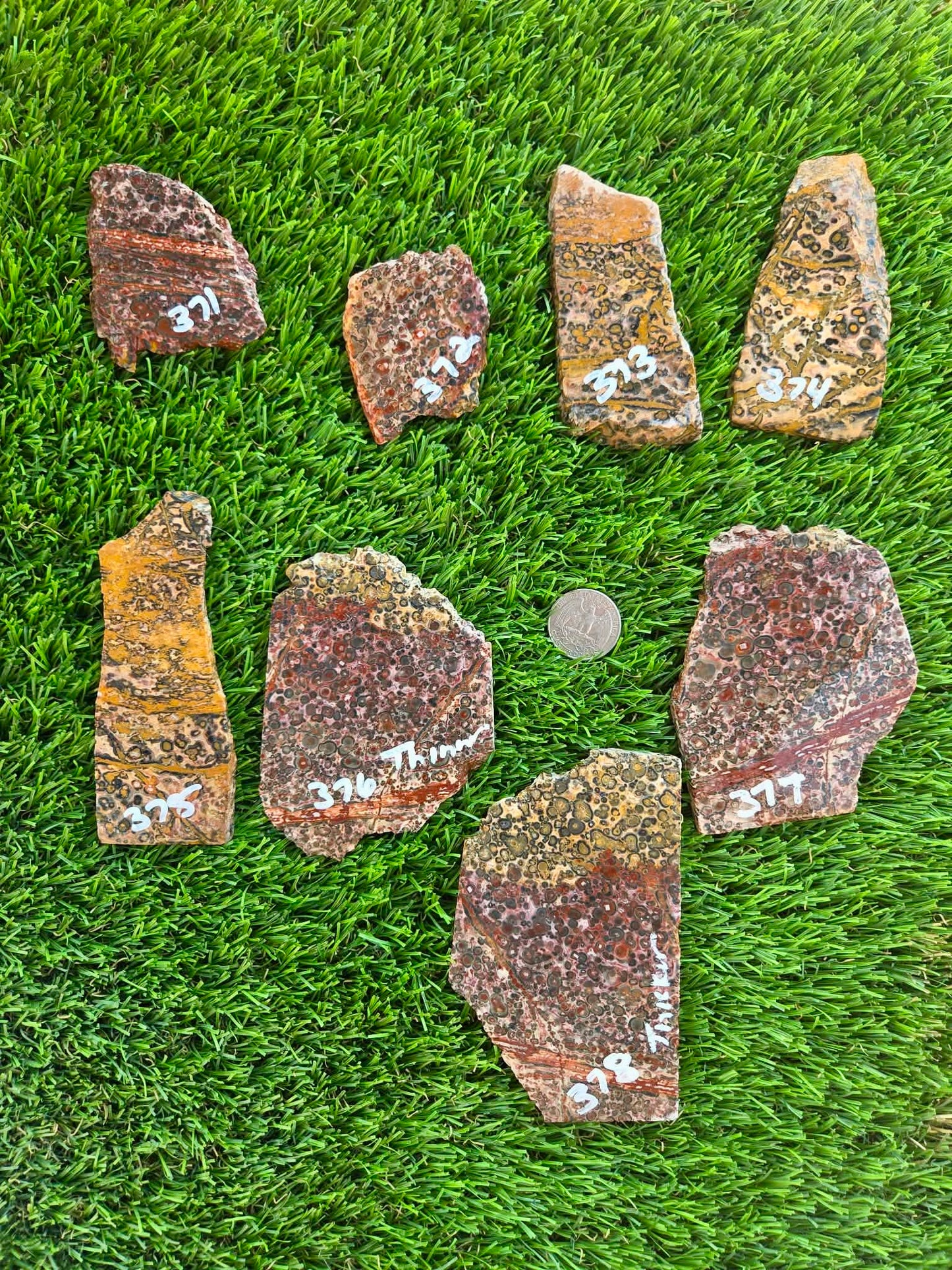 Leopard Skin Jasper Slabs H371-378