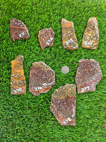 Leopard Skin Jasper Slabs H371-378