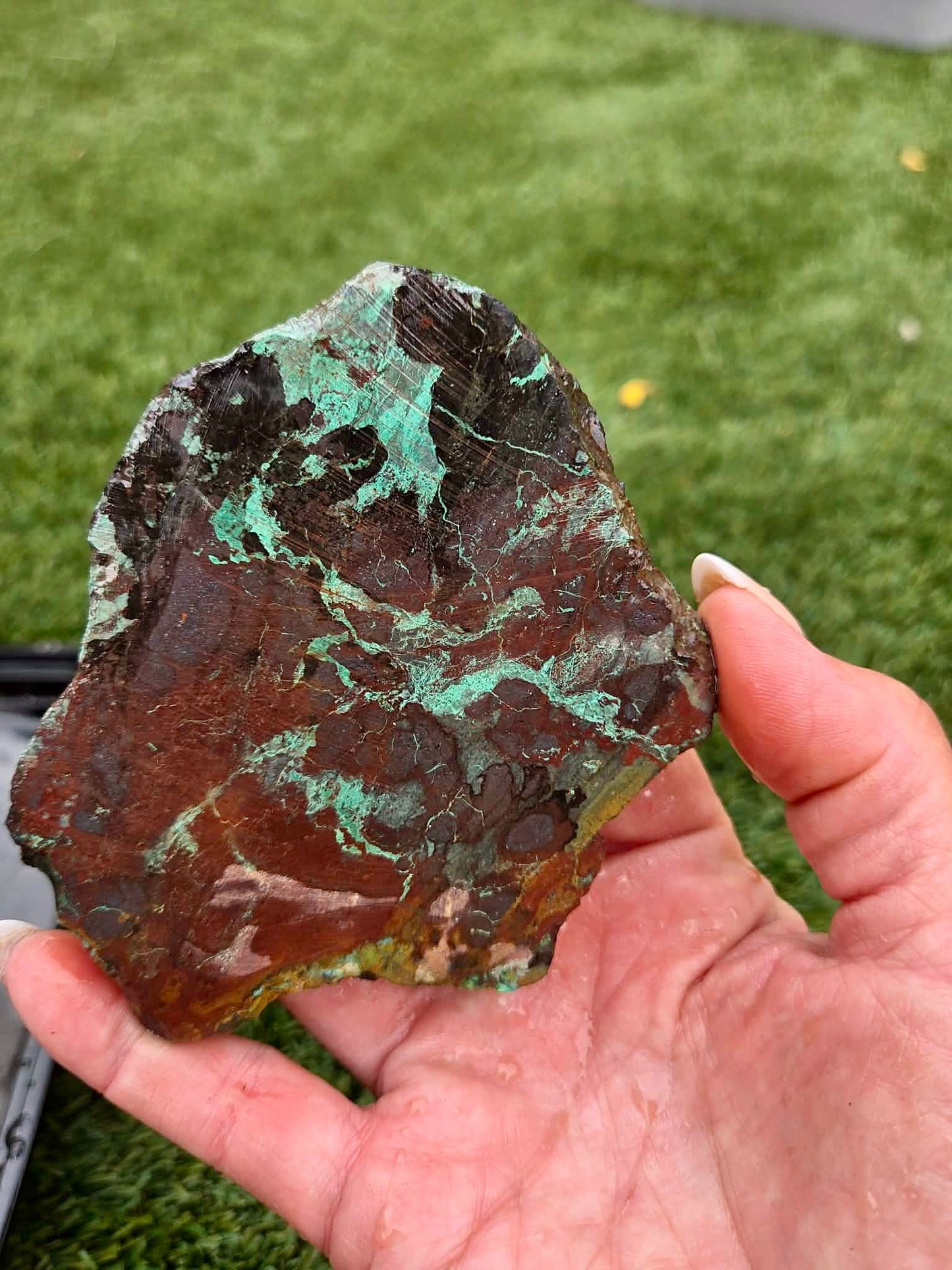 Globe Chrysocolla Slab Bundle -2