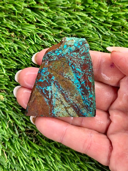 Globe Chrysocolla Slab Bundle -51