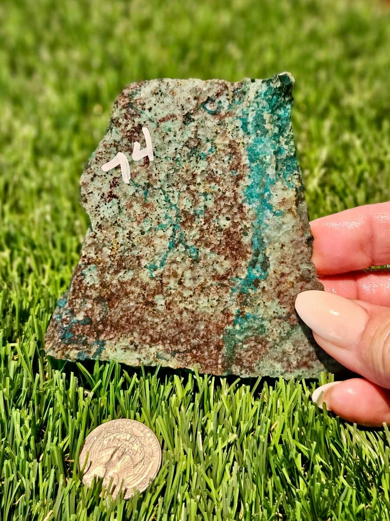 Globe Chrysocolla Slabs 73-78