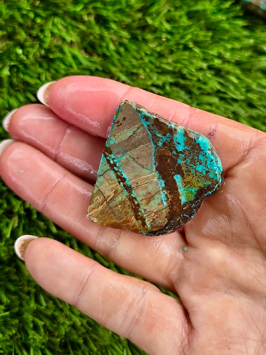 Globe Chrysocolla Slab Bundle -49