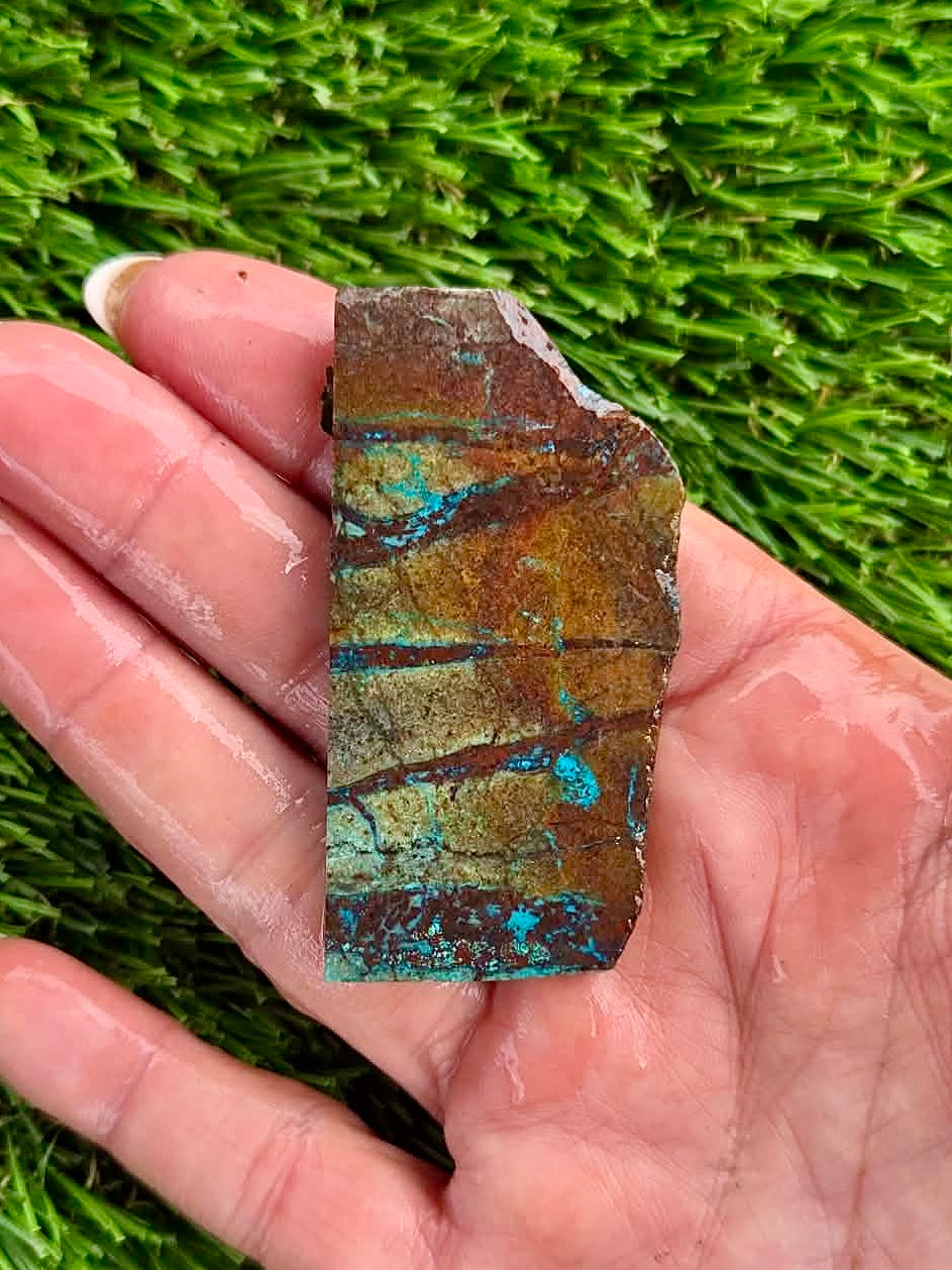 Globe Chrysocolla Slab Bundle -51