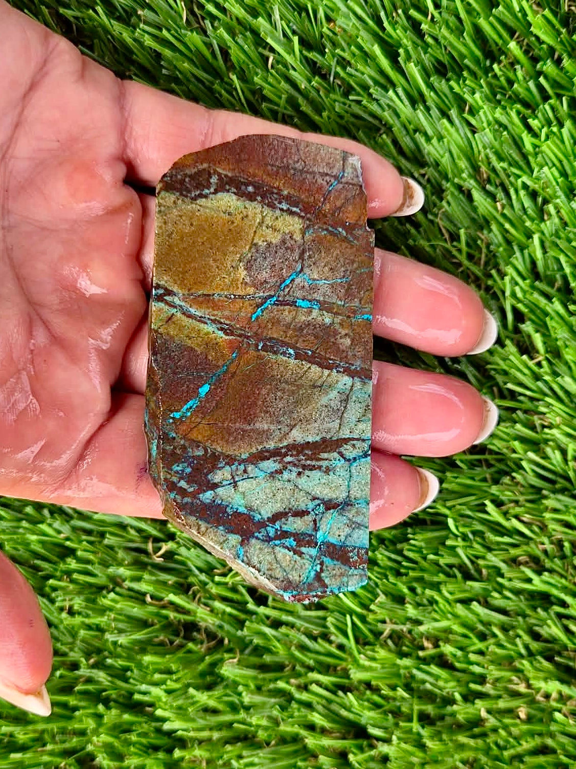 Globe Chrysocolla Slab Bundle -52