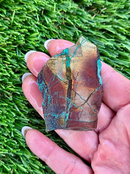 Globe Chrysocolla Slab Bundle -60