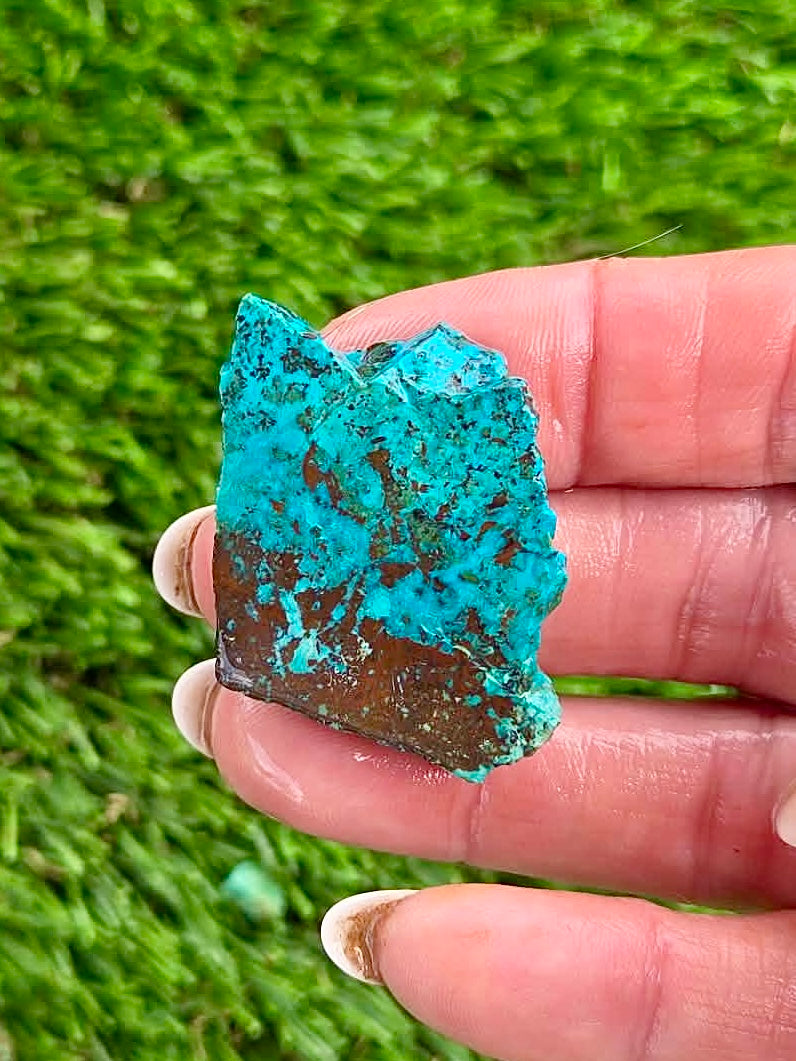 Globe Chrysocolla Slab Bundle -54