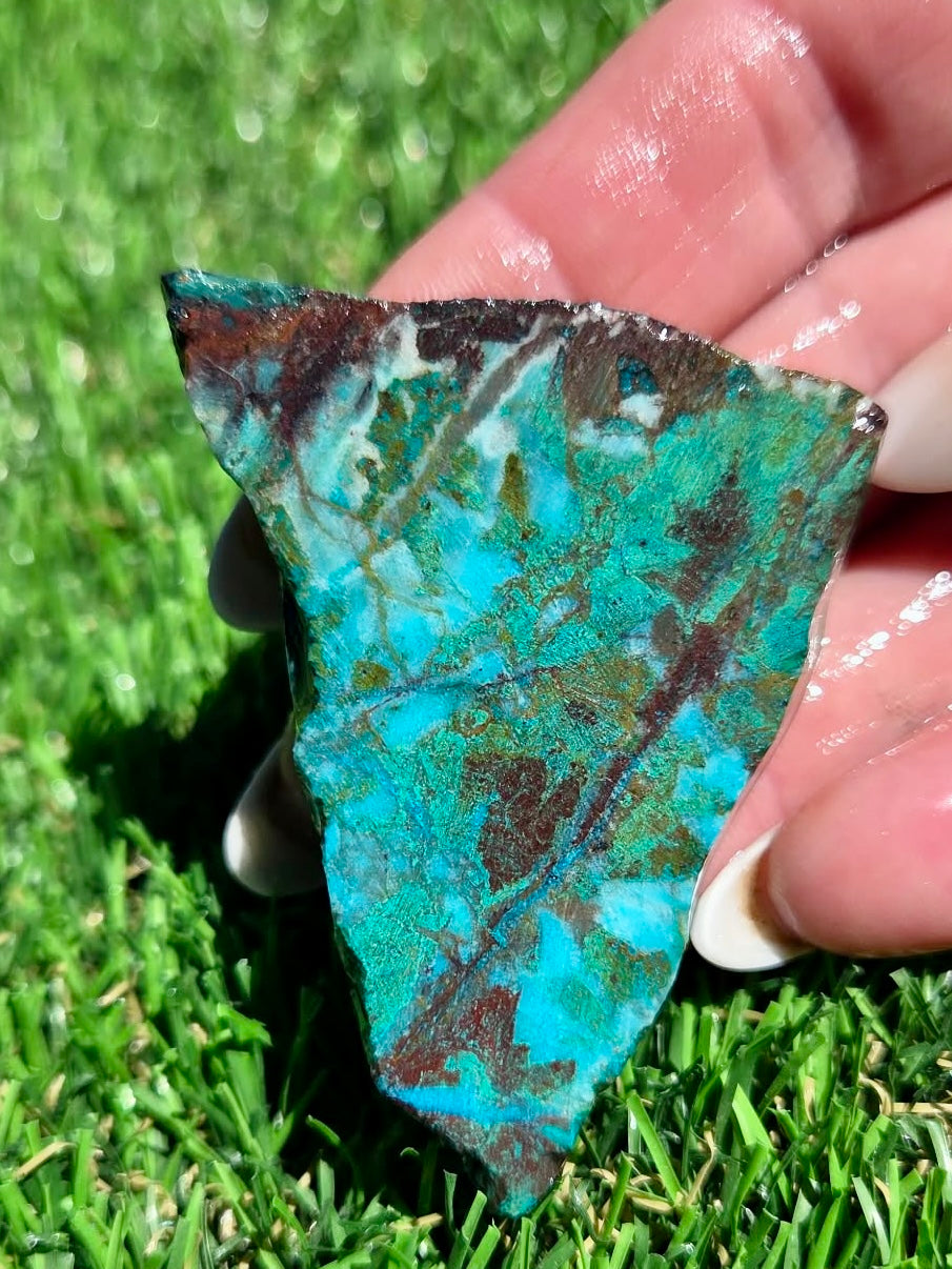 Globe Chrysocolla Slab Bundle -77