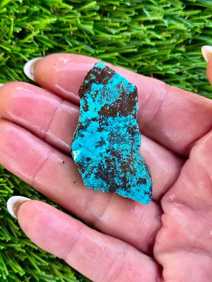 Globe Chrysocolla Slab Bundle -66