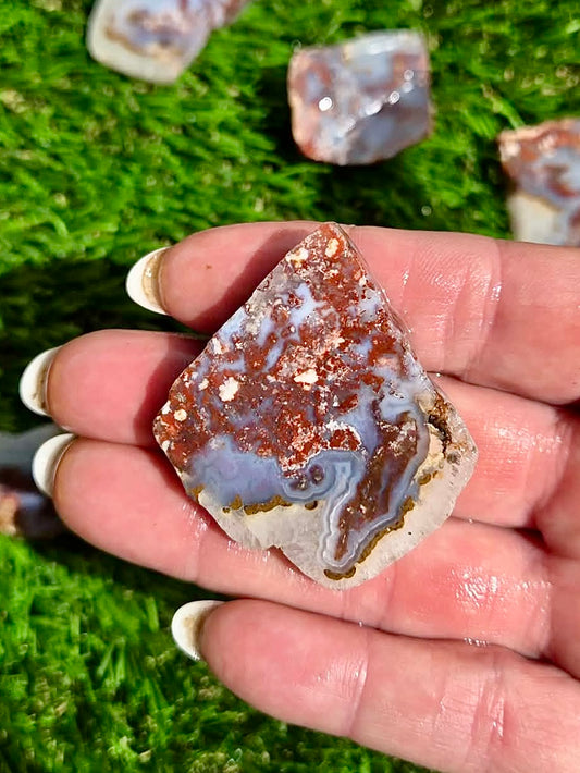 Bloody Basin Agate Slab Bundle-25