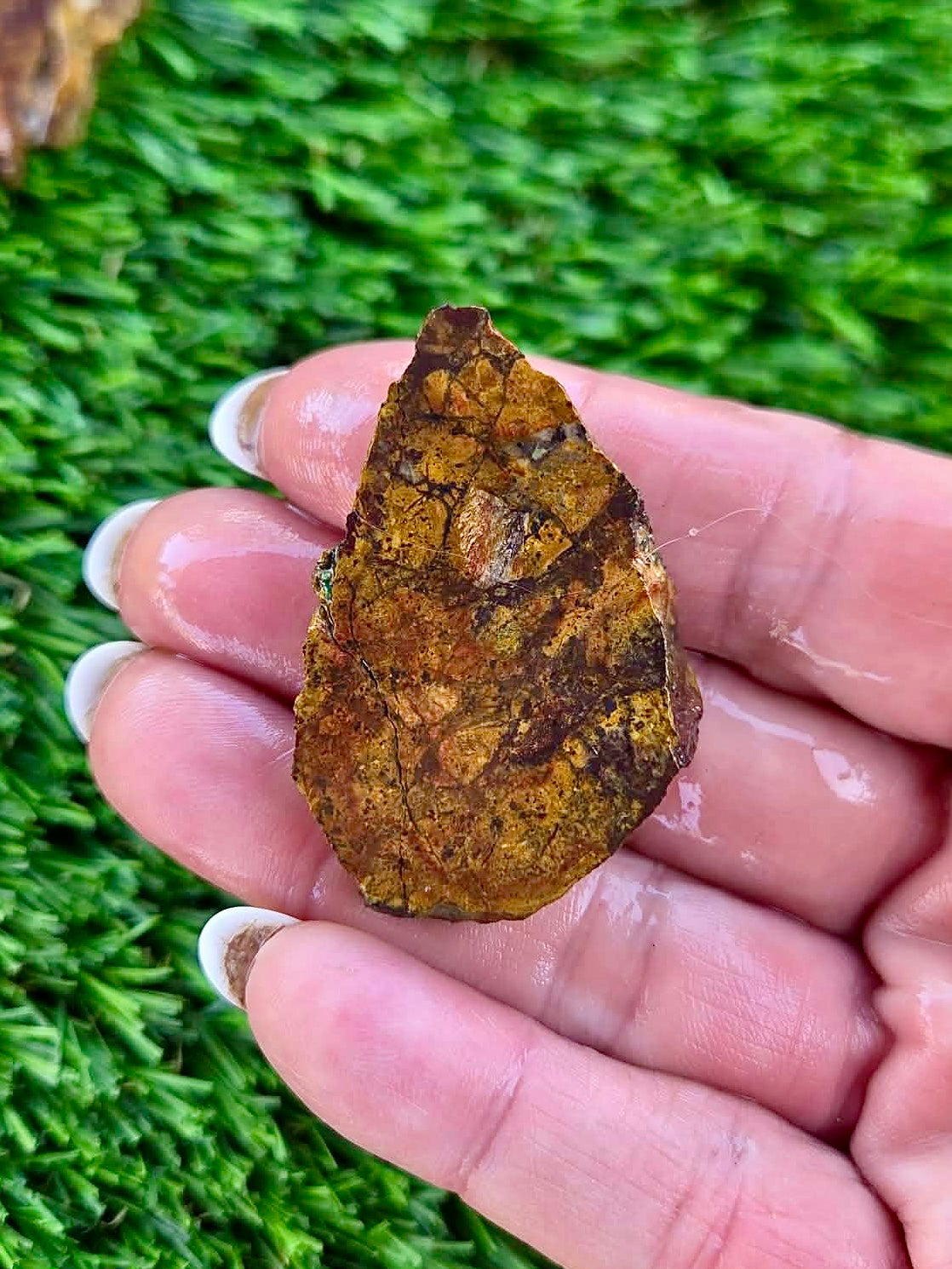 Globe Chrysocolla Slab Bundle -60