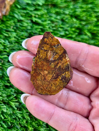 Globe Chrysocolla Slab Bundle -60