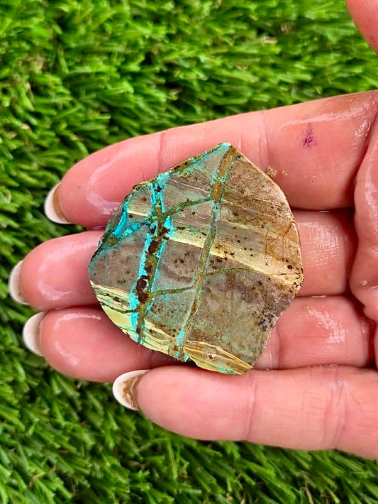 Globe Chrysocolla Slab Bundle -49