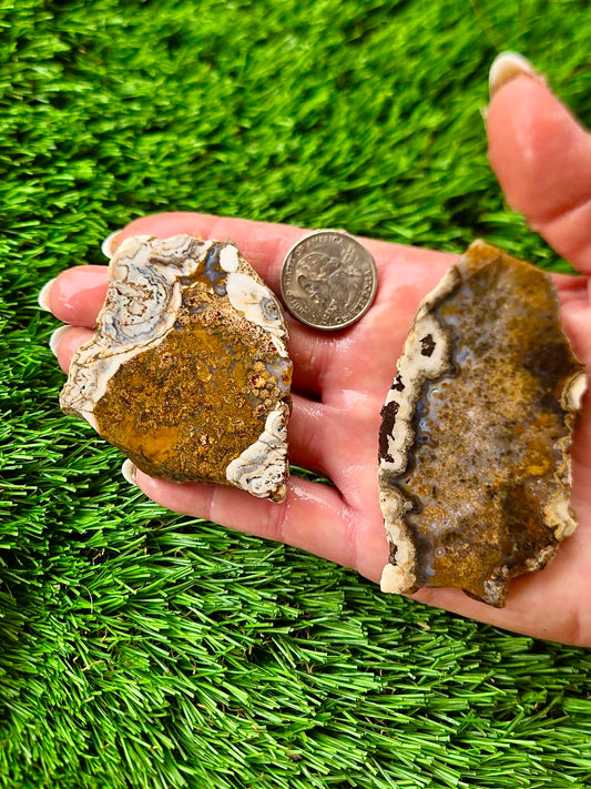 Arizona Agate Slab Bundle-68
