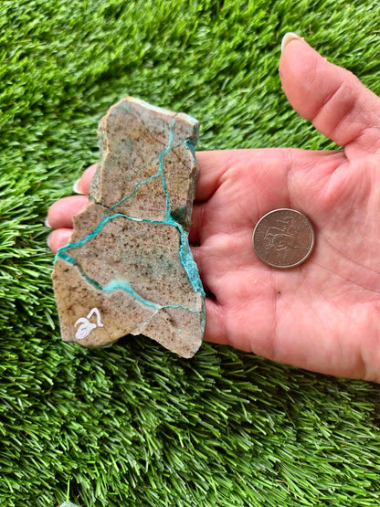 Globe Chrysocolla Slabs 27-31
